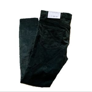 Green Velvet Loft Pants